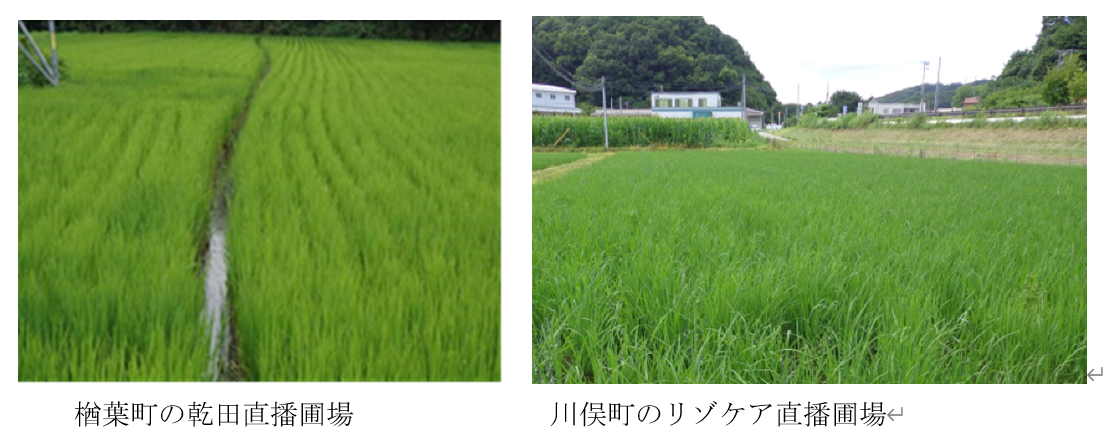 0718.png 0718.png